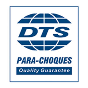 Logo DTS
